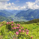 Daire Davydov Bad Hofgastein