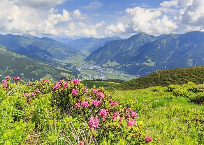 Apartment Davydov Bad Hofgastein